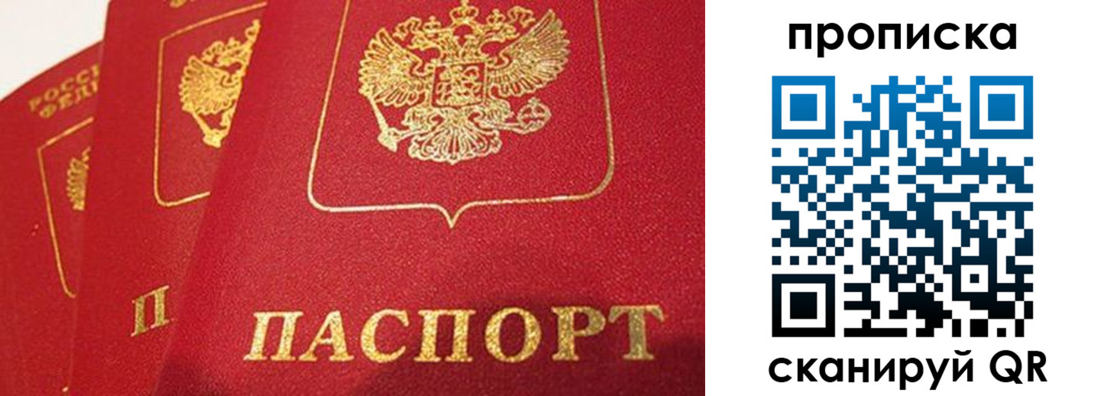 прописка регистрация в Порхове